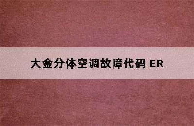 大金分体空调故障代码 ER